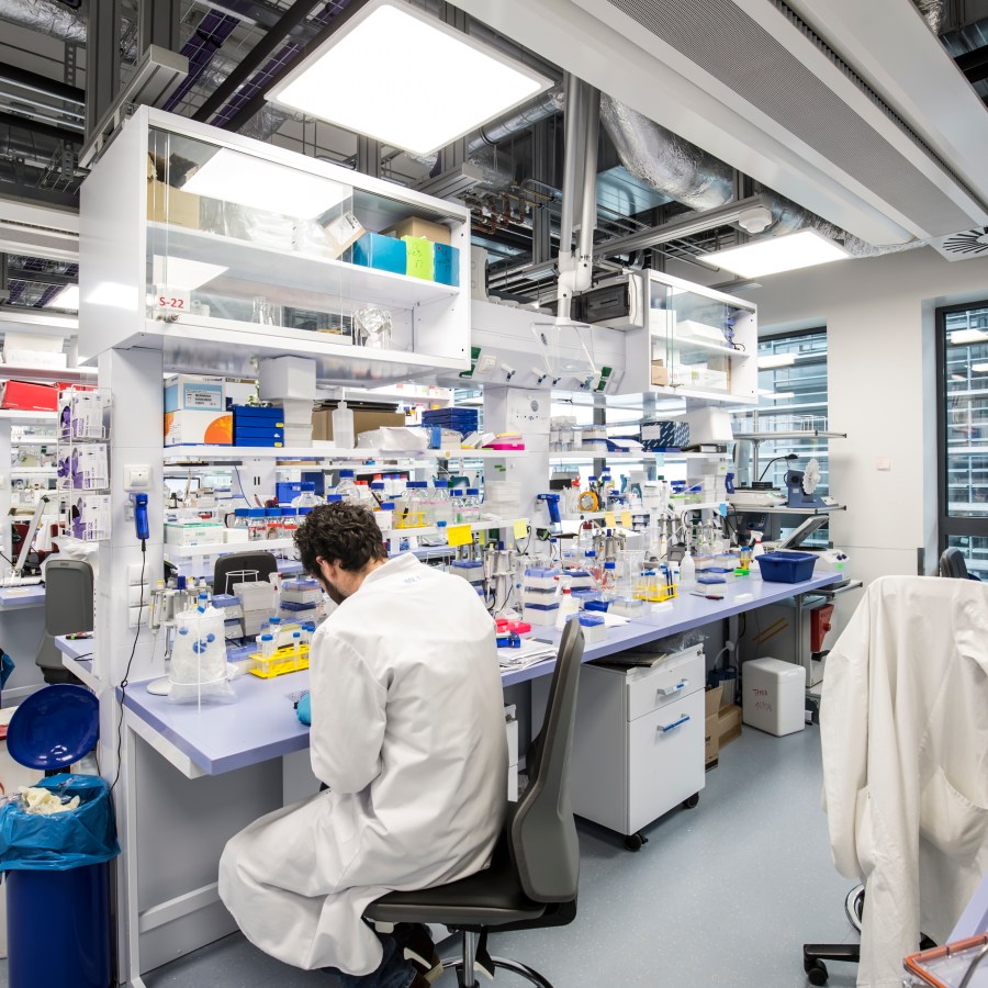 Laboratories at the University of Luxembourg