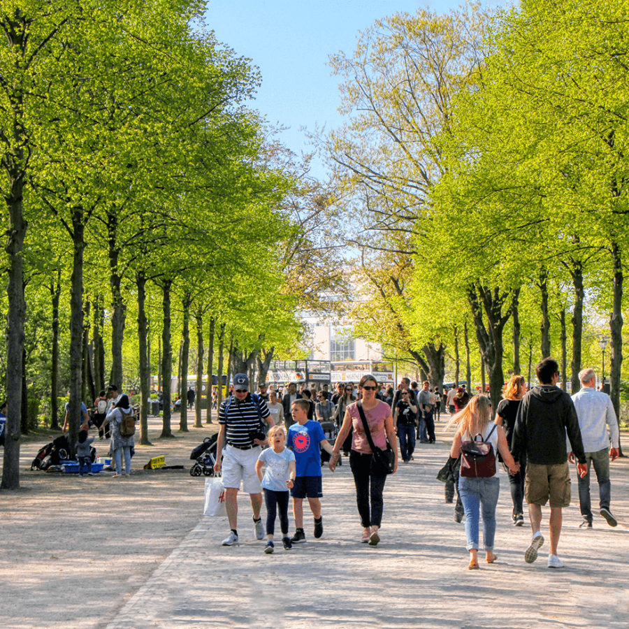 Open green space - park in urban area