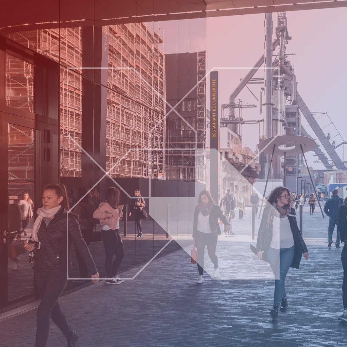 University of Luxembourg ranked in the top 250 universities worldwide